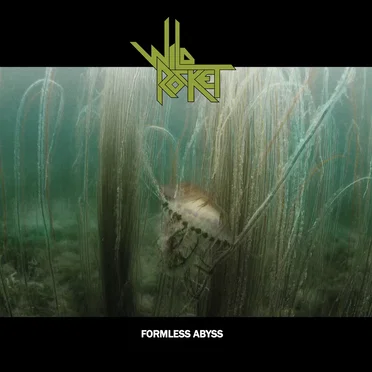 Formless Abyss by Wild Rocket - album cover