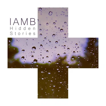 Hidden Stories by IAMB - album cover