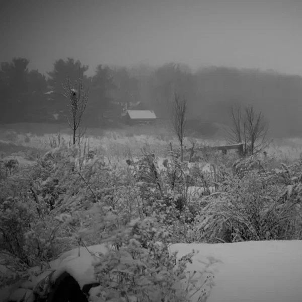 Greyscale