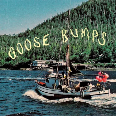 Goose Bumps by Boyscott - album cover