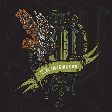 Wild Imagination by Joe Stamm Band - album cover