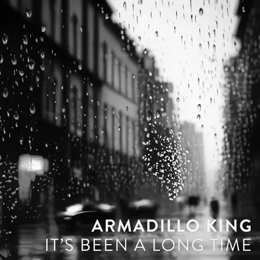 It's been a long time by Armadillo King - album cover