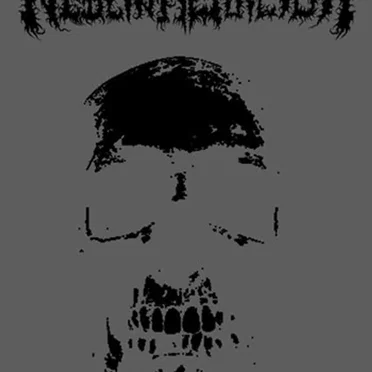 O Fim by Neblina Suicida - album cover