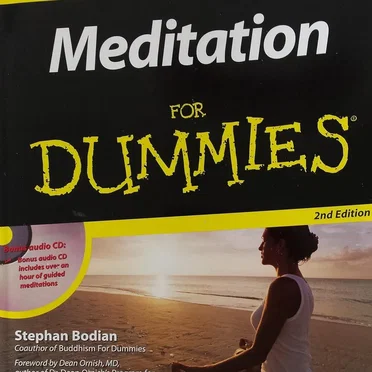 Meditation for Dummies by Stephen Bodian - album cover