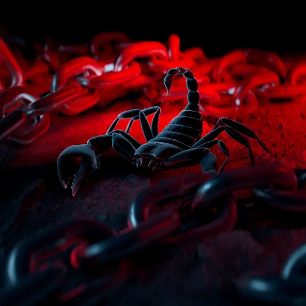 FREAK (alt versions)