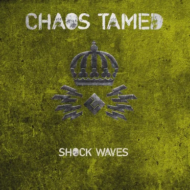 Shock Waves