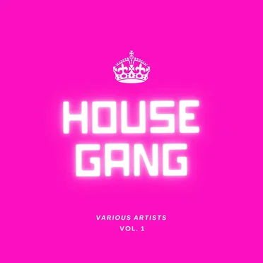 House Gang, Vol. 1 by Various Artists - album cover