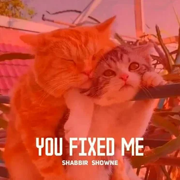 Shabbir Showne