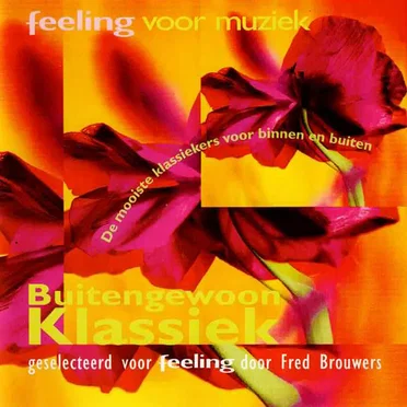 Buitengewoon Klassiek Feeling Voor Muziek by Various Artists - album cover