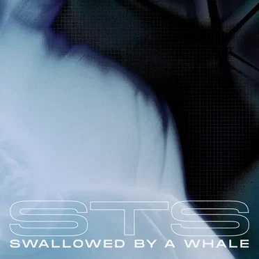 Swallowed By A Whale by sts - album cover