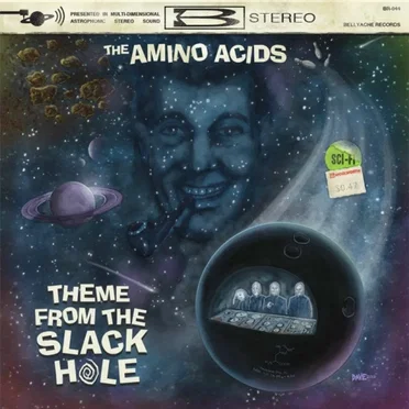 Theme From The Slack Hole by The Amino Acids - album cover
