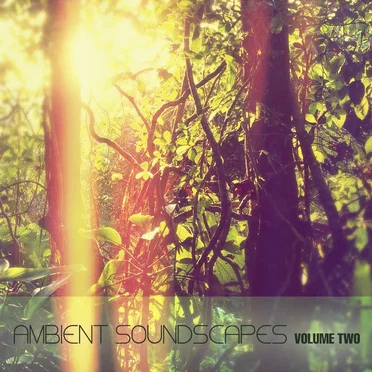 Ambient Soundscapes, Vol.2