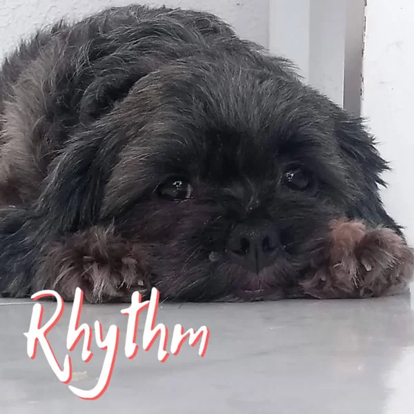 Rhythm