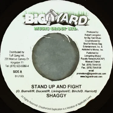 Stand Up and Fight