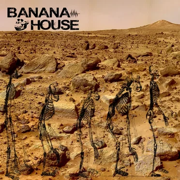 The Banana House