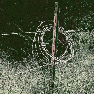 The Swamp Mansion of the Crocodile People / Hellfire & Honeycomb