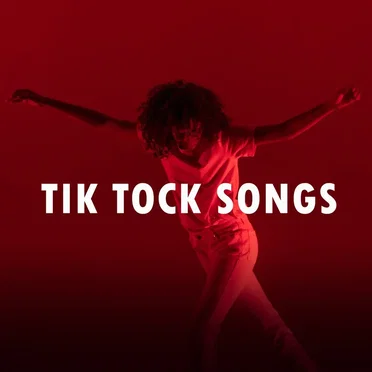 Tik Tock Songs by Various Artists - album cover