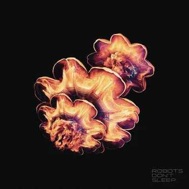 Robots Don’t Sleep by Robots Don’t Sleep - album cover