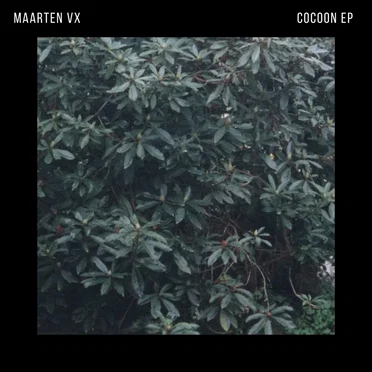 Cocoon by Maarten VX - album cover