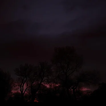 Tonight Won't Last Forever