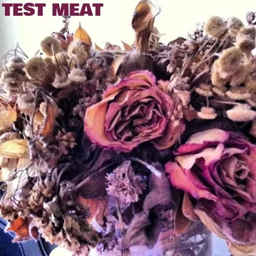 Demo/EP by Test Meat - album cover