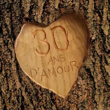 30 ans d’amour by Various Artists - album cover