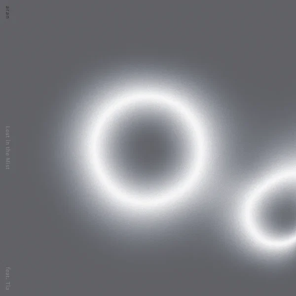 Lost in the Mist