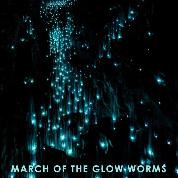 March of the Glow Worms