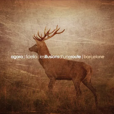 Les Illusions d'une route by Agora Fidelio - album cover