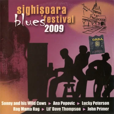 Sighișoara Blues Festival 2009 Selecțiuni by Various Artists - album cover