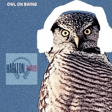 OWL ON SWING (uNIQUE TECh) by hARITON zOE - album cover