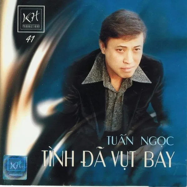 Tình đã vụt bay