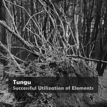 Successful Utilization of Elements by Tungu - album cover