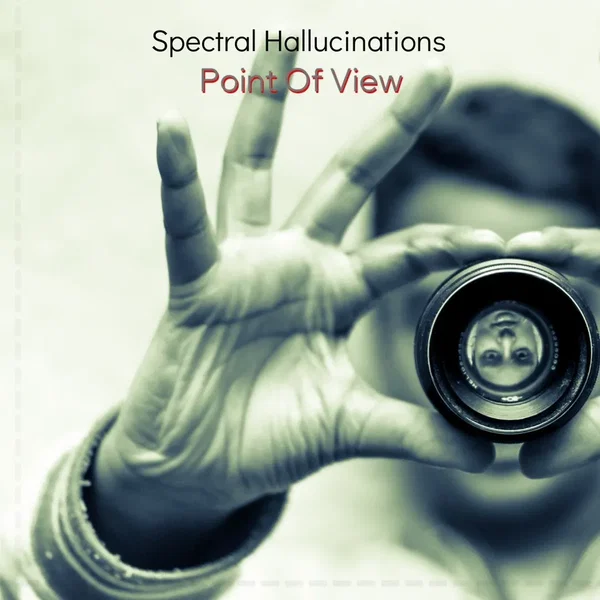 Point of View