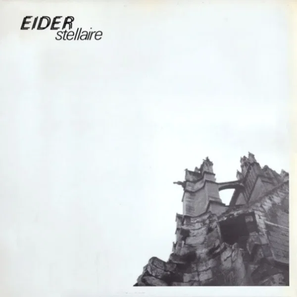 Eider Stellaire