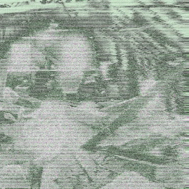 Live Like a Beaten Pig