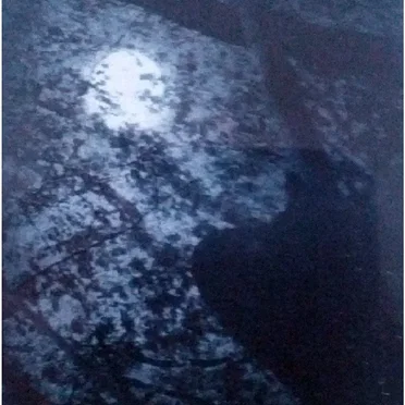 Depths of Night: Collection of the Early Demo Tapes by Nuit Noire - album cover