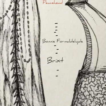Bonnie Formaldehyde / Brixt (single)