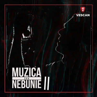 Muzica Sau Nebunie II (100 Versuri) by Vescan - album cover