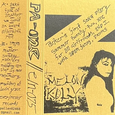 Melon Kolly / Parker’s First Song Diary by Parker Allen - album cover