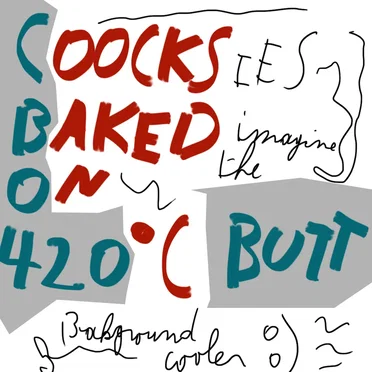 Coocksies Baked On 420 degrees celciButt