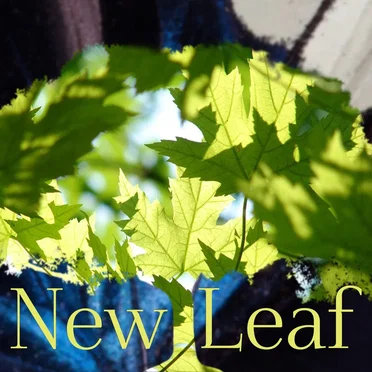 New Leaf by Natasha Pearson - album cover
