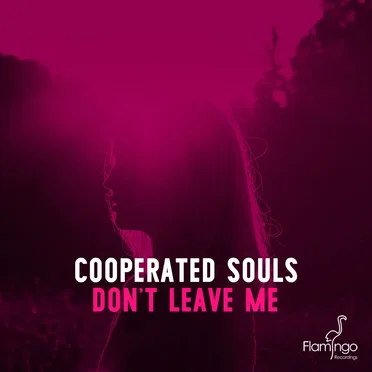 Don’t Leave Me by Cooperated Souls - album cover