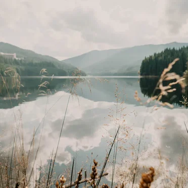 Live Archives, Volume 1