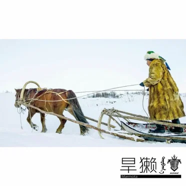旱獭 (Marmota) by 旱獭乐队 - album cover