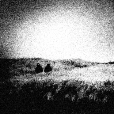 Head Void Tapes