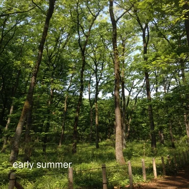 early summer by airda - album cover
