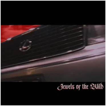 Jewels of the Wild by Denny Laflare - album cover