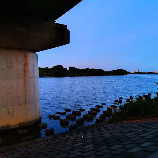 夕入