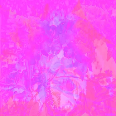 Flowers of Destruction